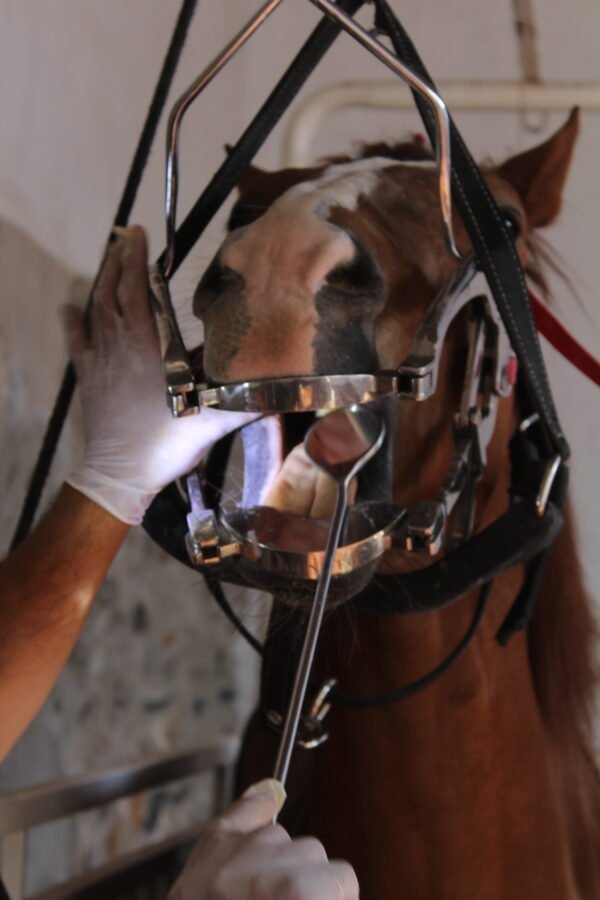 Colgadero para odontología